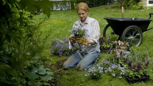 Rabbit Hole Poster 2