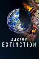 Racing Extinction Poster 6