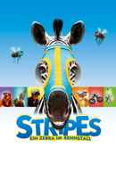 Racing Stripes Poster 1