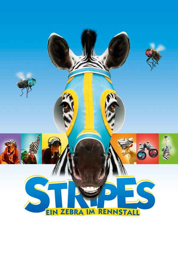 Racing Stripes Poster 1
