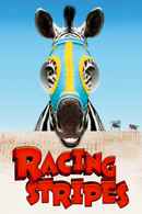 Racing Stripes Poster 5