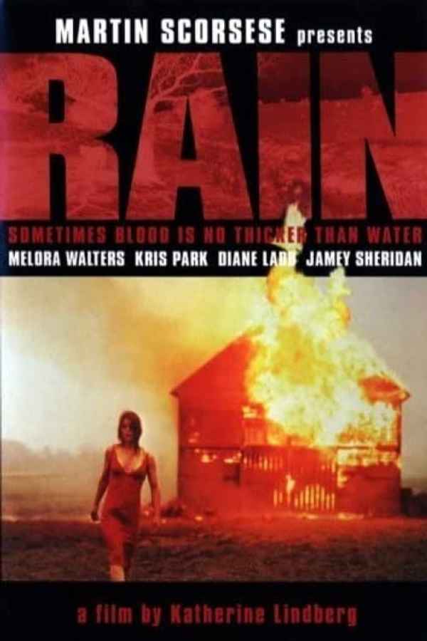 Rain Poster 7
