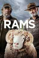 Rams Poster 5