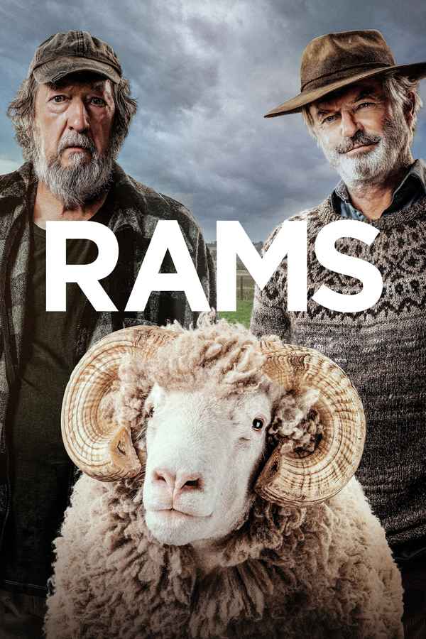 Rams Poster 5