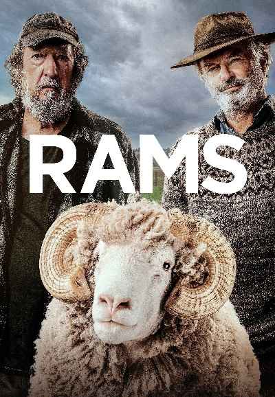 Rams