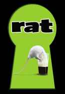 Rat Poster 2
