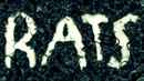 Rats Poster 1