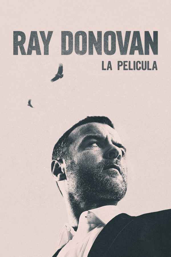 Ray Donovan Poster 6