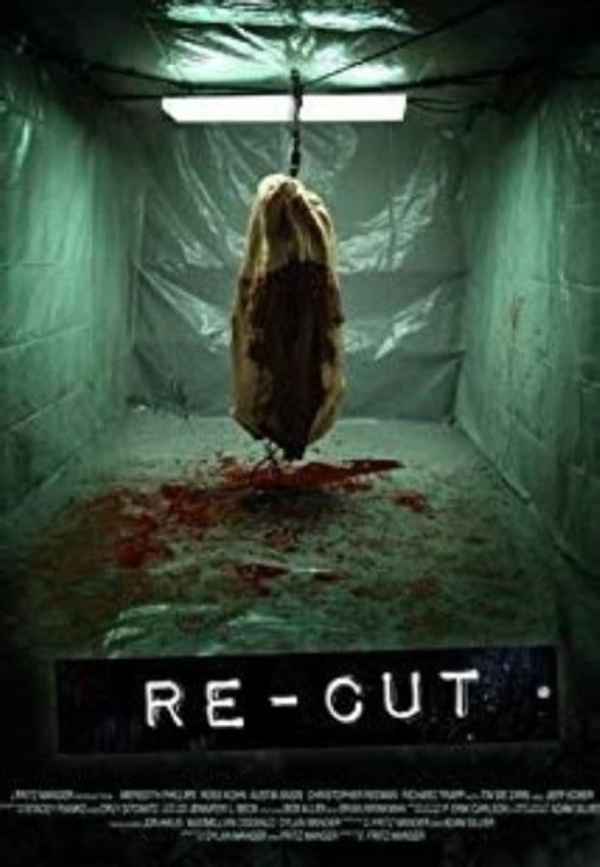 Re-Cut Poster 2