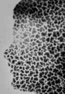 Recomposing Decomposition Poster 2