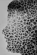 Recomposing Decomposition Poster 1