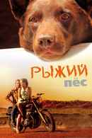 Red Dog Poster 2