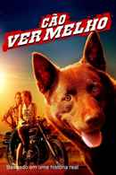 Red Dog Poster 3