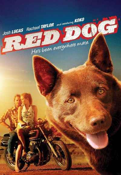 Red Dog