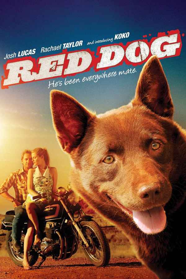 Red Dog Poster 1