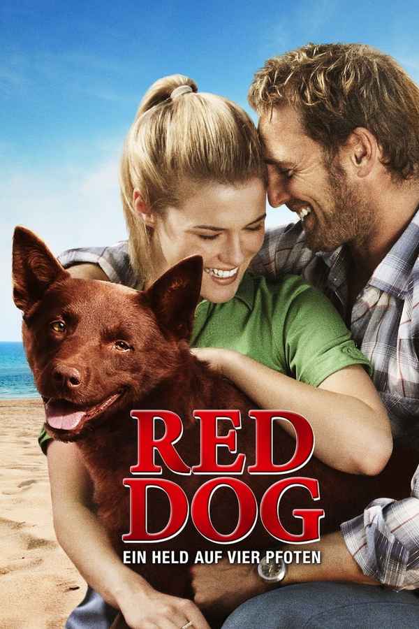 Red Dog Poster 4