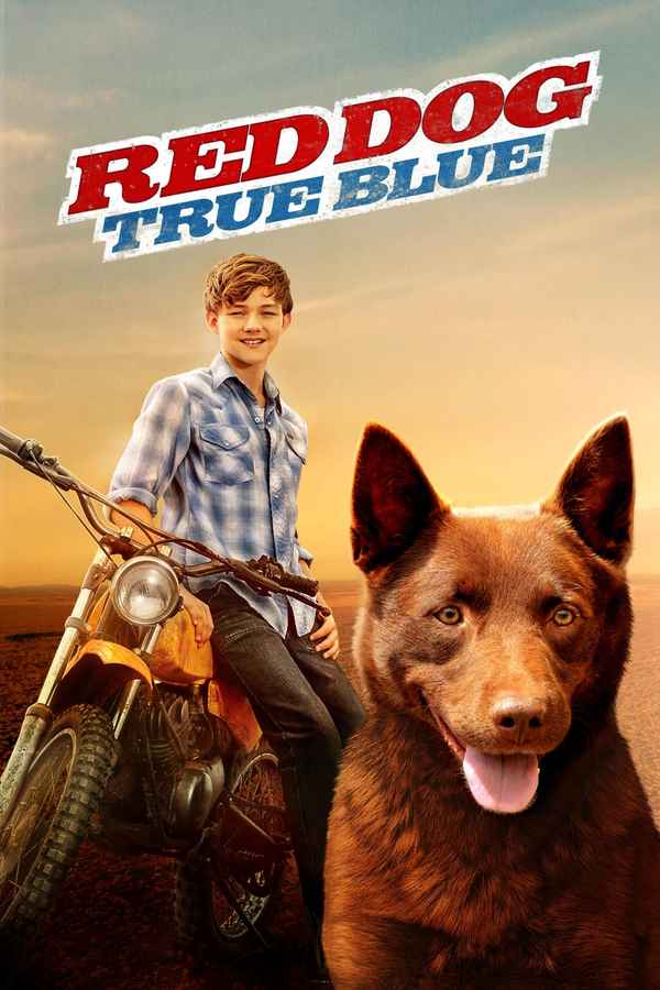 Red Dog: True Blue Poster 6