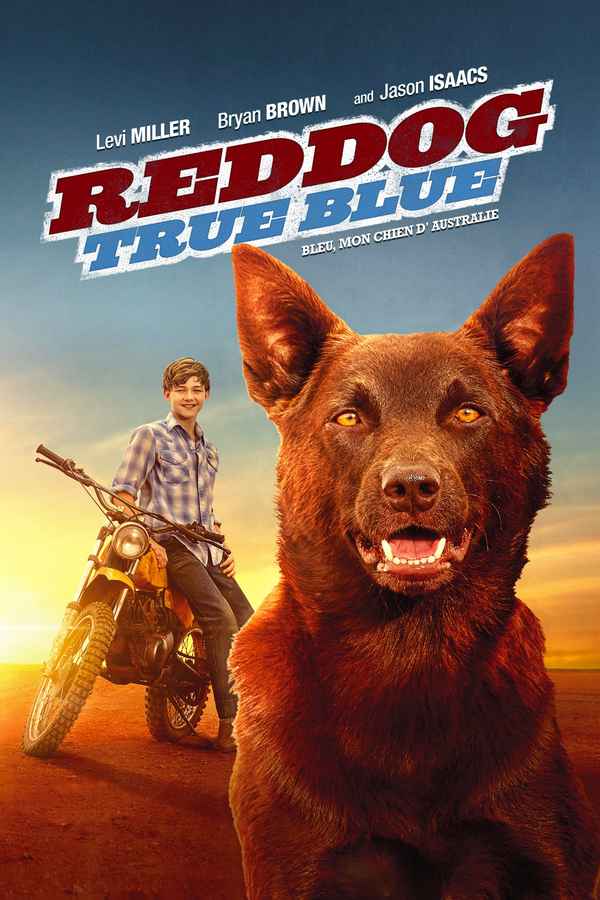 Red Dog: True Blue Poster 1