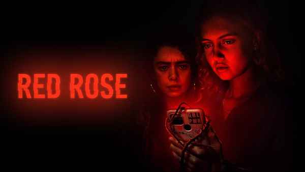 Red Rose Poster 3