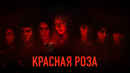 Red Rose Poster 4