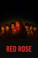 Red Rose Poster 2