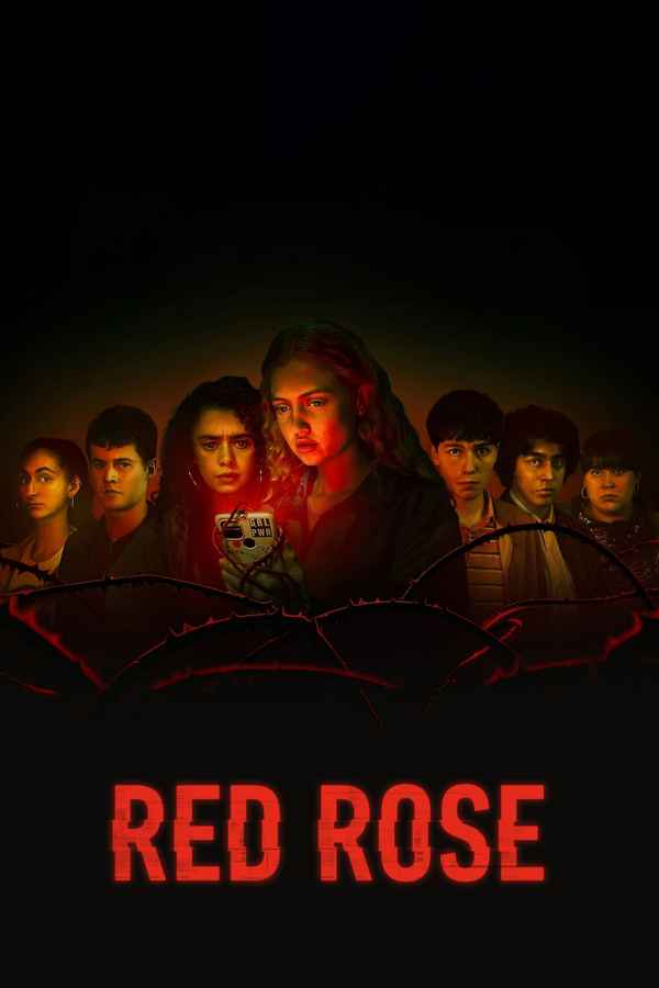 Red Rose Poster 2