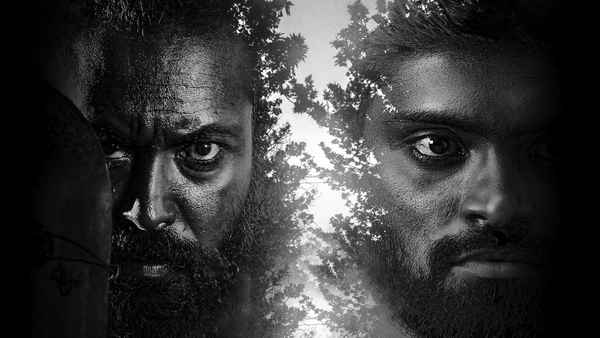 Red Sandal Wood Poster 3