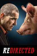 Redirected Poster 1