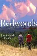 Redwoods Poster 3