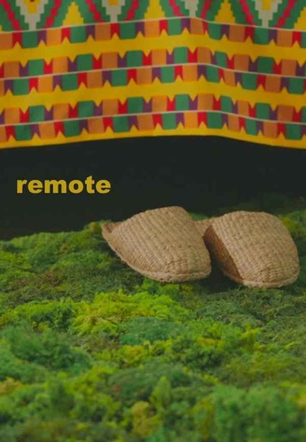 Remote Poster 6