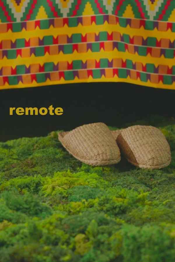 Remote Poster 4