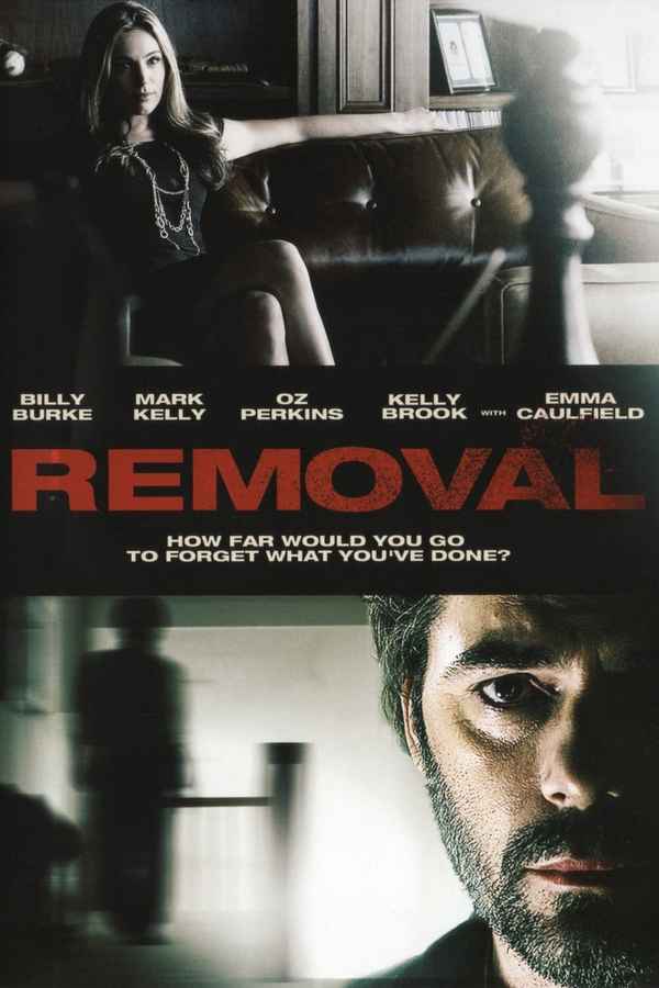 Removal Poster 3