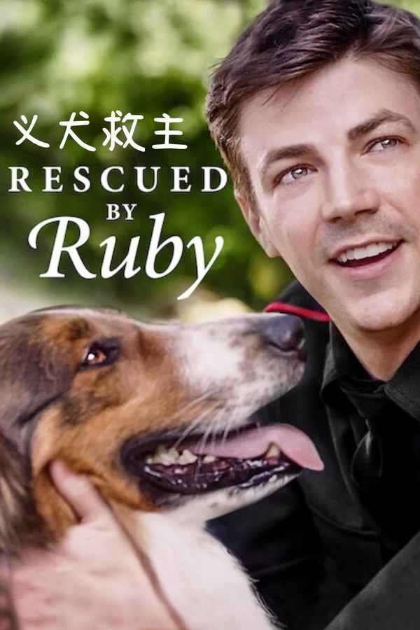 Rescued by Ruby Poster 6