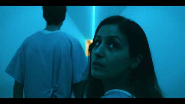 Residents of Arcadia Poster 4