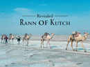 Revealed: Rann of Kutch Poster 6