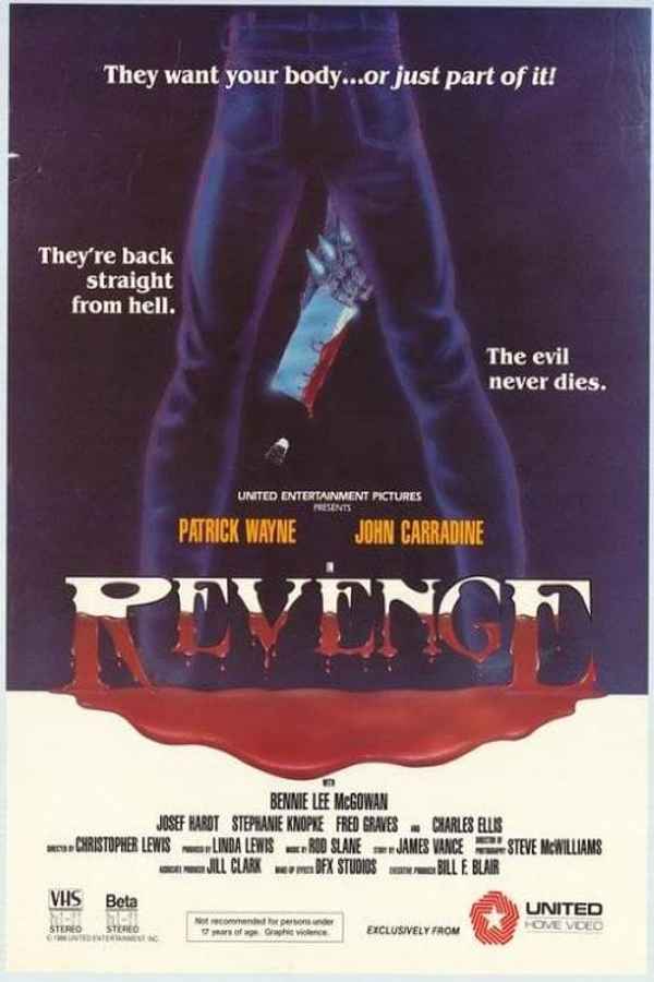 Revenge Poster 2