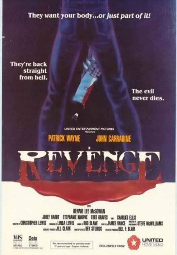 Revenge Poster 4