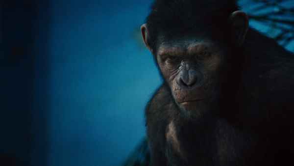 Rise Of The Planet Of The Apes Poster 5