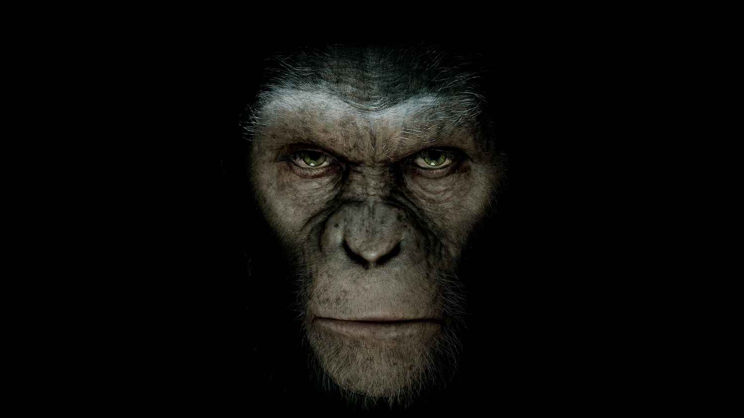 war of the planet of the apes full movie putlockers