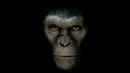Rise Of The Planet Of The Apes Poster 4