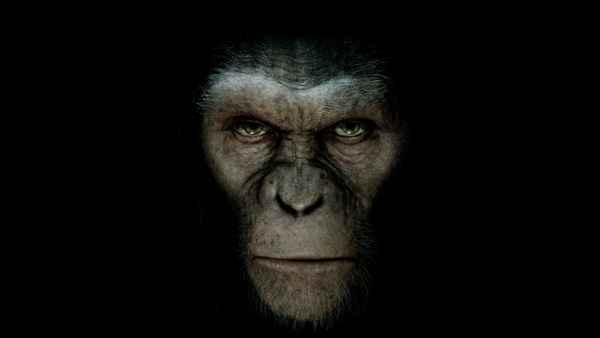 Rise Of The Planet Of The Apes Poster 4