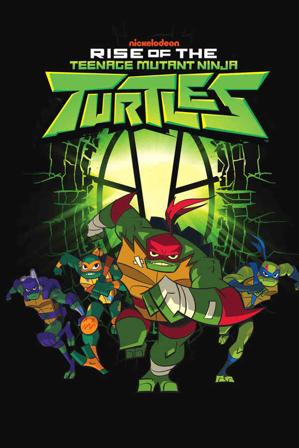 Rise of the Teenage Mutant Ninja Turtles Poster 7