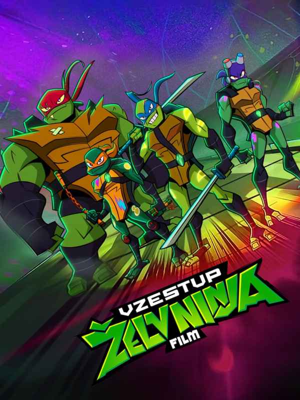 Rise of the Teenage Mutant Ninja Turtles: The Movie Poster 7