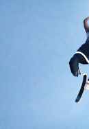 Rising Phoenix Poster 5