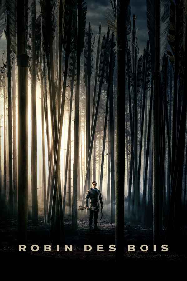 Robin Hood Poster 3
