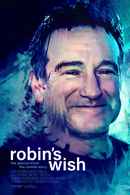 Robin's Wish Poster 4