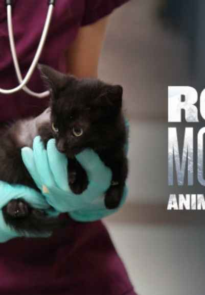 Rocky Mountain: Animal Rescue