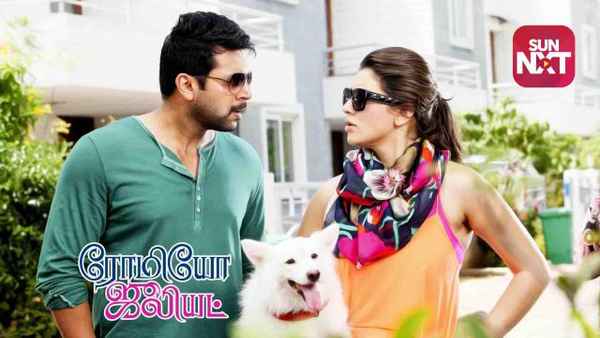 Romeo Juliet Poster 7