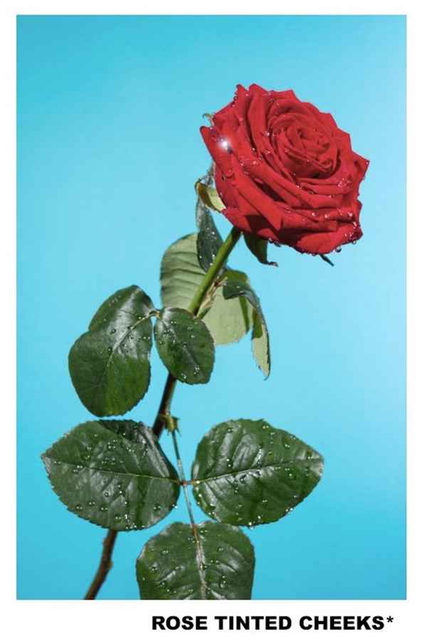 Rose Tinted Cheeks Poster 2