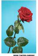 Rose Tinted Cheeks Poster 3